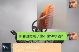 金寨企业清欠服务